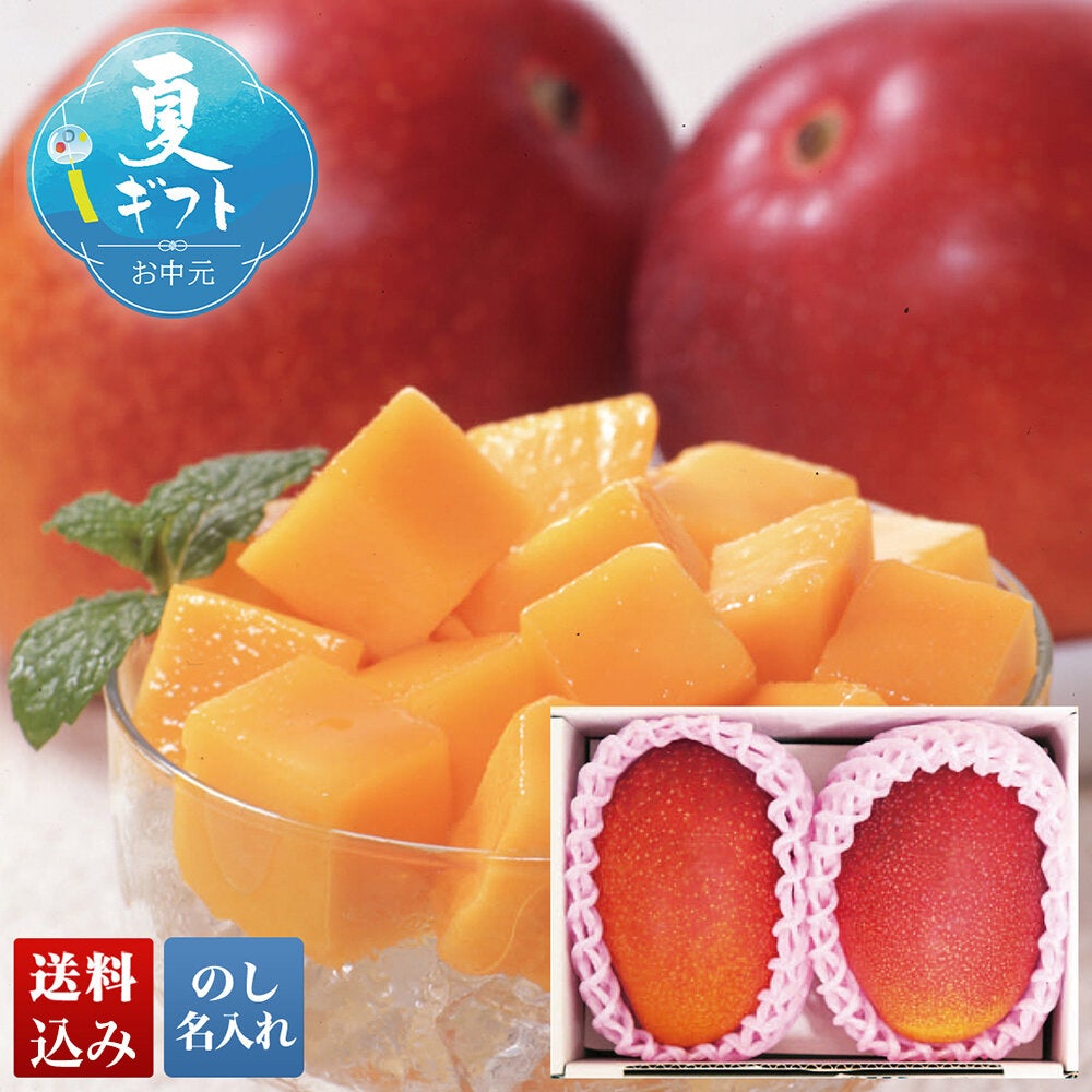 JAみやざき 宮崎県産 完熟マンゴー | TAKEYAオンラインショップ ギフト館